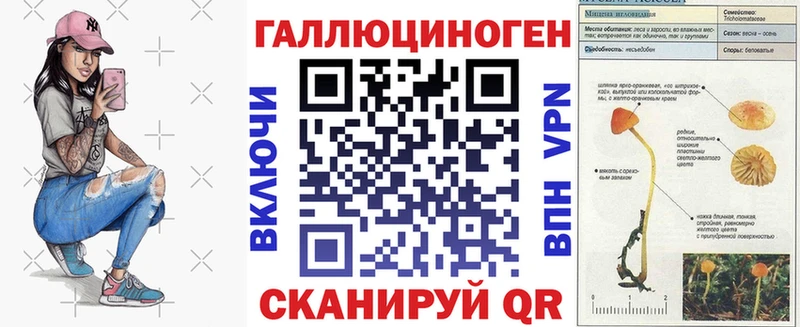 Галлюциногенные грибы Psilocybine cubensis  Ладушкин 